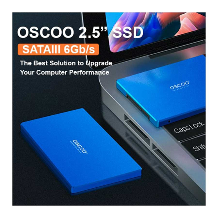 اس اس دی اینترنال اسکو مدل OSCOO SSD-001 Blue 256GB