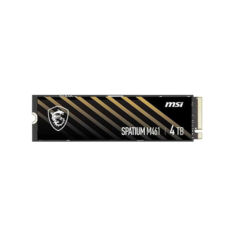 اس اس دی ام اس آی مدل MSI SPATIUM M461 4TB M.2 SSD
