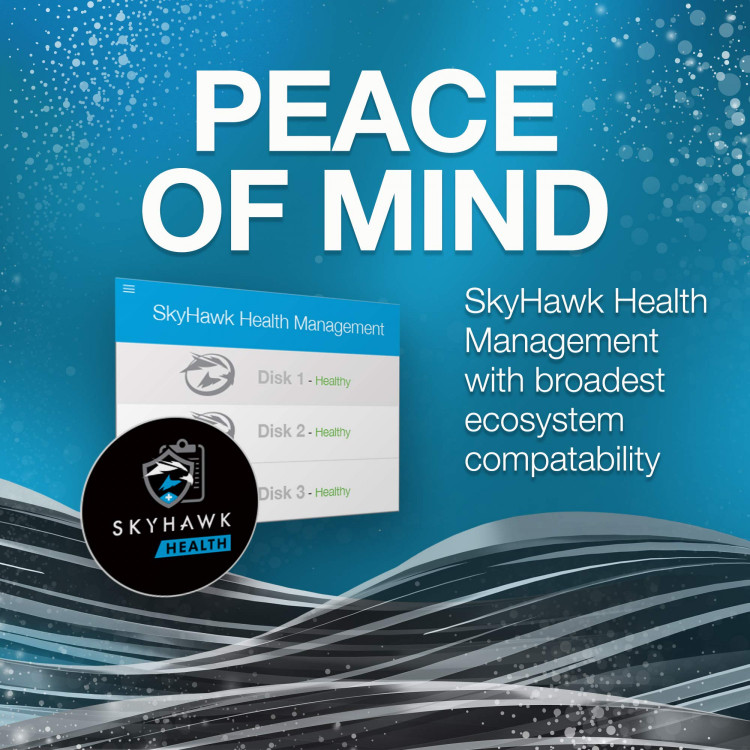 هارد اینترنال سیگیت SkyHawk 4TB