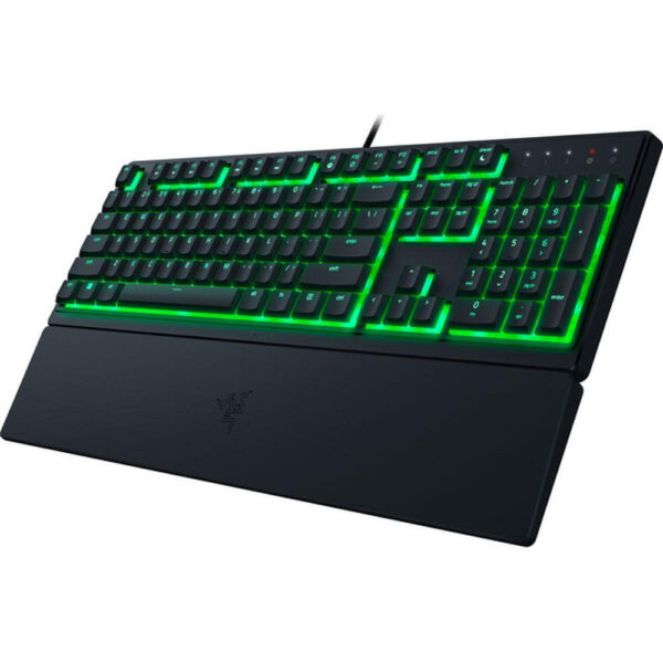 کیبورد ریزر مدل Razer ORNATA V3 X