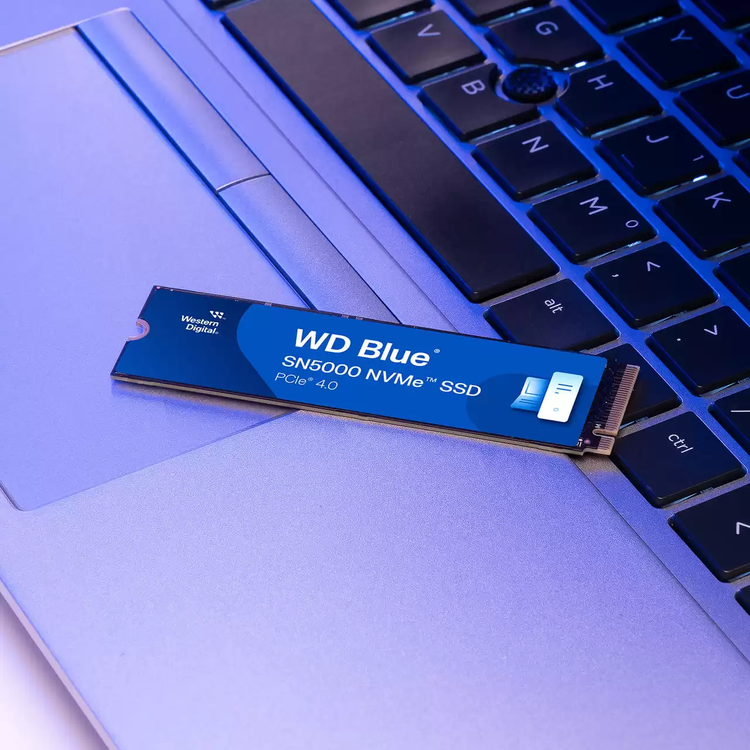 اس اس دی وسترن دیجیتال مدل Western Digital Blue SN5000 2TB M.2 SSD