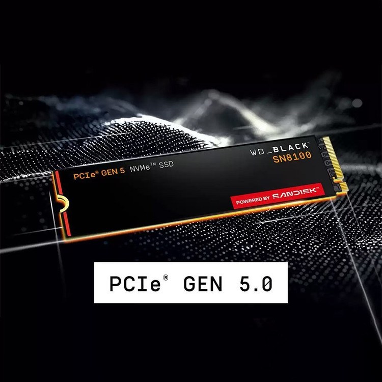 اس اس دی وسترن دیجیتال مدل Western Digital Black SN8100 2TB M.2 SSD